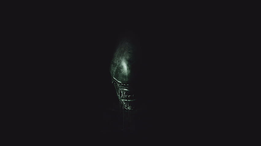 2560x1440 Alien Convenant 2017 Movie 1440P Resolution, aliens movie HD wallpaper