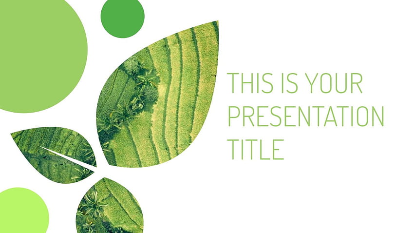 環境の葉。 PowerPoint テンプレート & Google スライド テーマ、エコロジー パワーポイント 高画質の壁紙