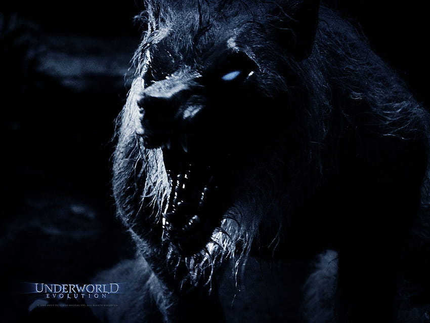 Underworld: Rise of the Lycans 24 HD wallpaper