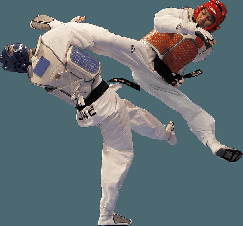 Academia GTC, luta de taekwondo papel de parede HD