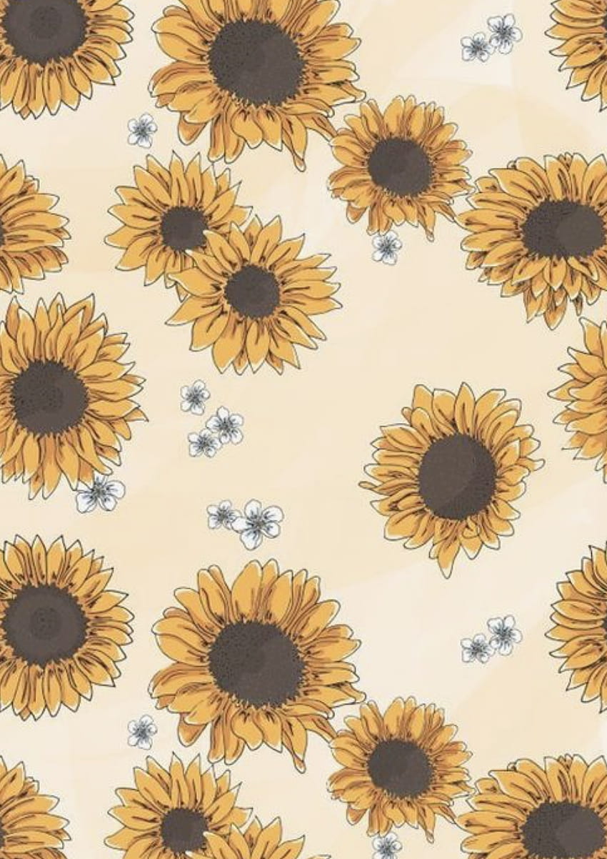 Rysunek słonecznika, estetyczny rysunek kwiatu Tapeta na telefon HD