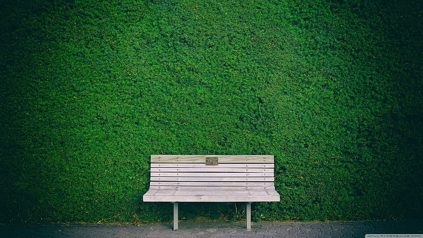 Wooden Bench, Green Hedge Ultra Backgrounds for U TV : & UltraWide & Laptop : Multi Display, Dual Monitor : Tablet : Smartphone, summer bench HD wallpaper