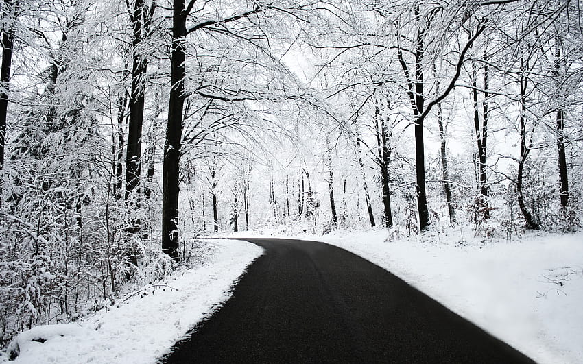 Road, Snow, Black, White, Winter, Forest, Nature, winter forest ...