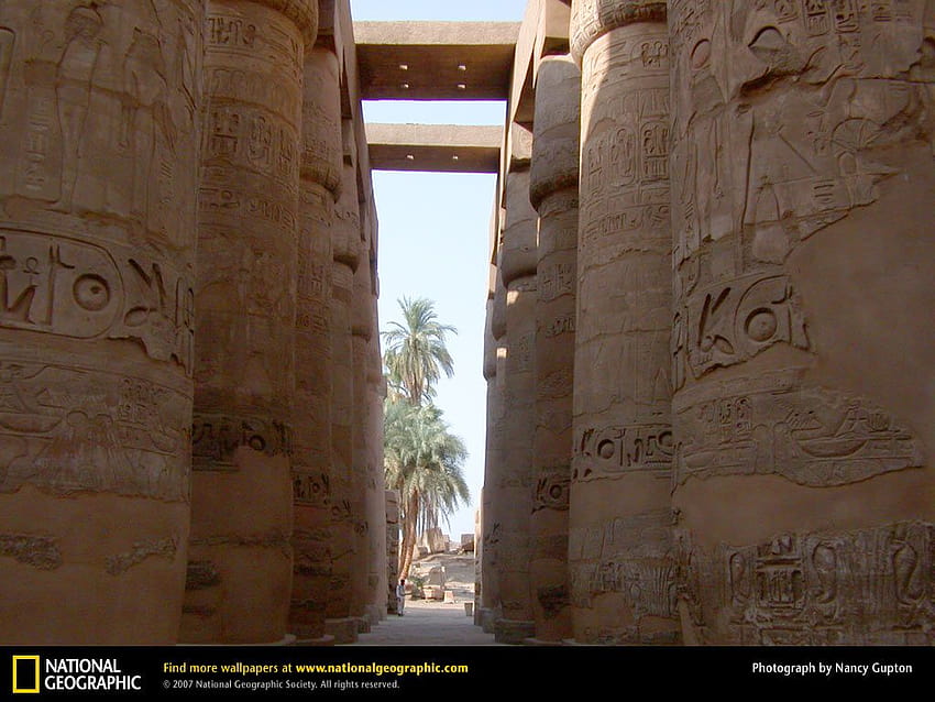 Egypt : Temple of Amun HD wallpaper