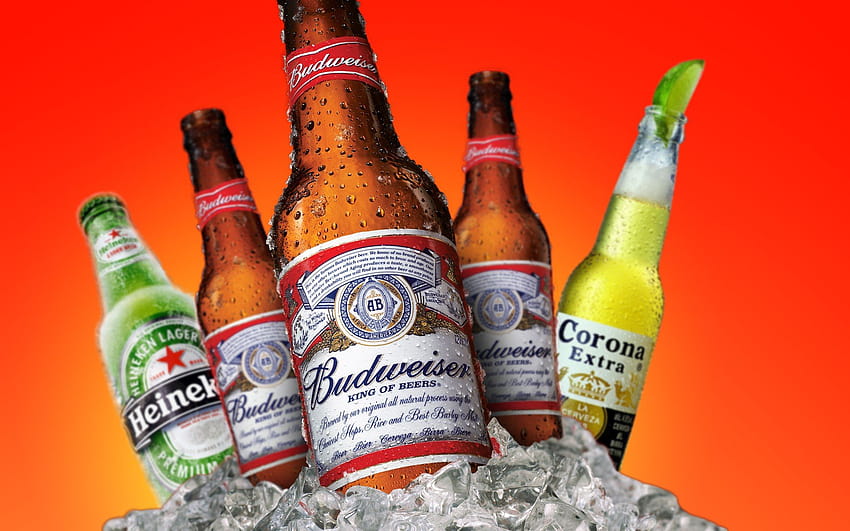 bière, Budweiser, Heineken, Corona / et arrière-plans mobiles, coronita Fond d'écran HD