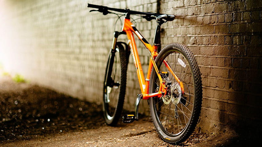 Bicicleta amarilla pared HD wallpaper
