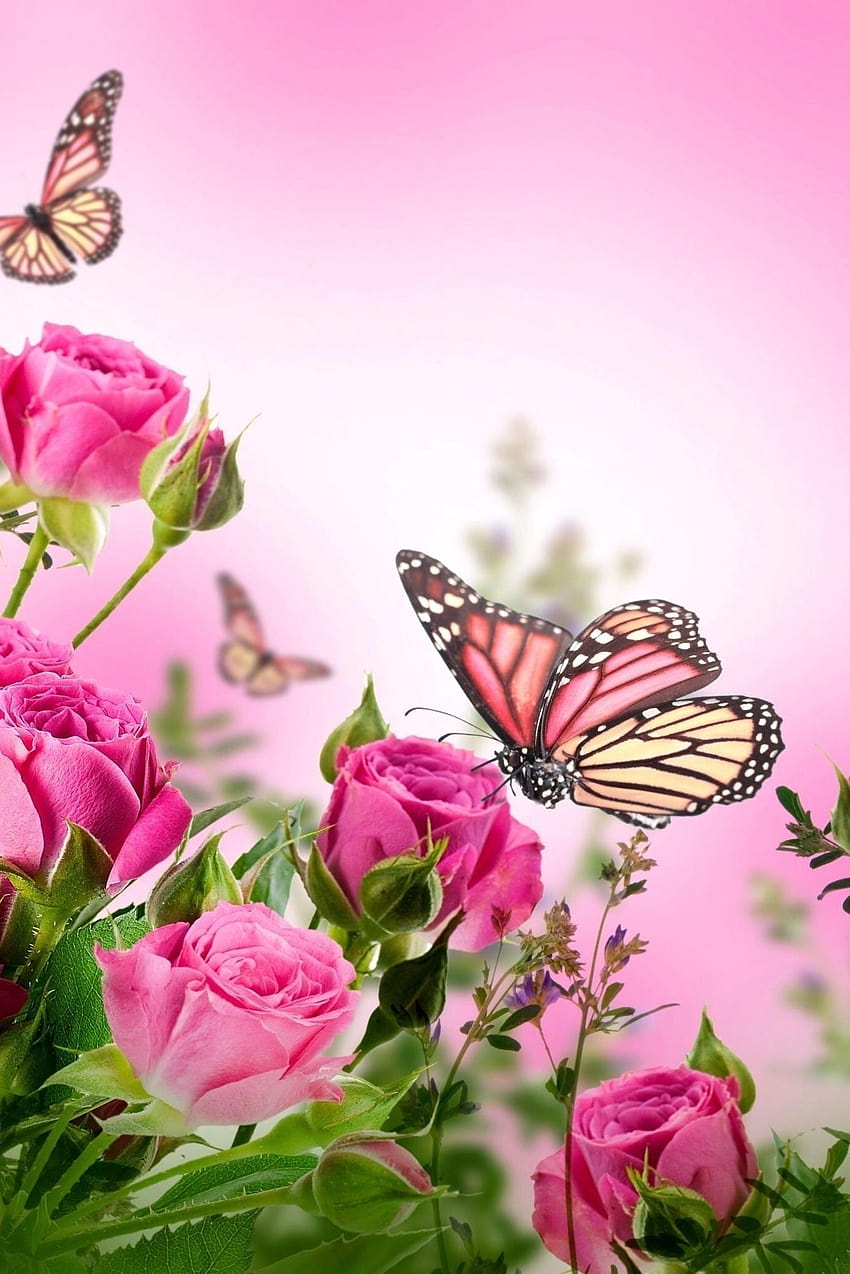 Pink Flower Butterfly, estética de flores y mariposas. fondo de pantalla del teléfono