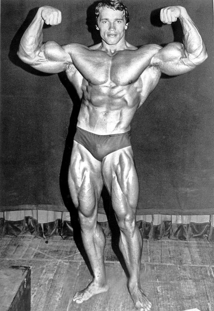 Arnold Schwarzenegger , Celebrità, HQ Arnold, arnold bodybuilding Sfondo del telefono HD
