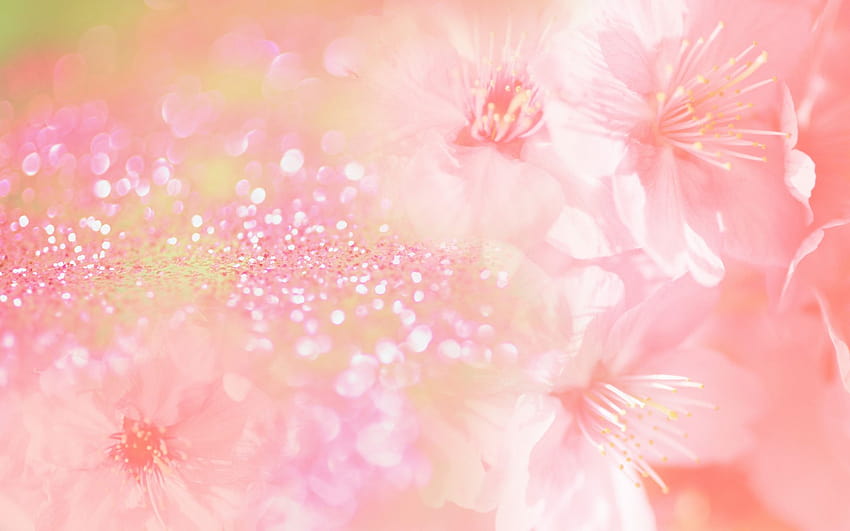 Backgrounds Flowers Pink Group, bunga musim semi pink yang lucu Wallpaper HD