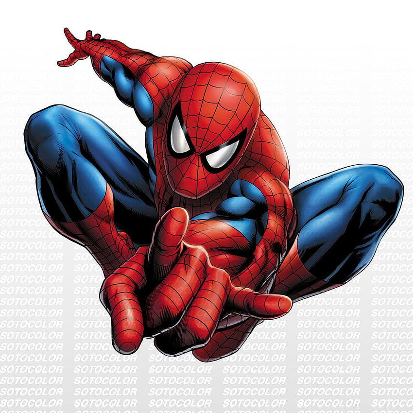 Spiderman seorang pahlawan super dengan kemampuan laba-laba menyelamatkan dunia, latar belakang spiderman kartun wallpaper ponsel HD
