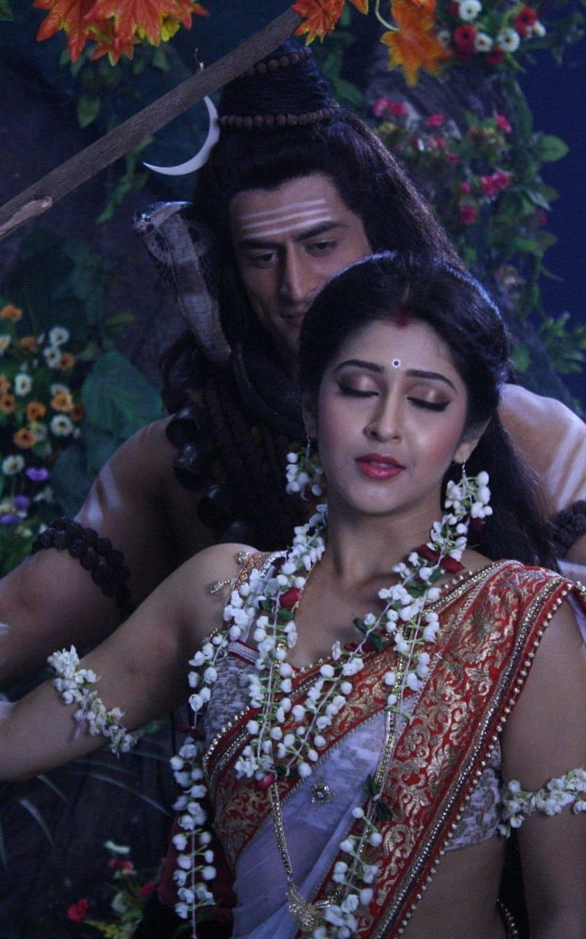 Lord Shiva and Parvati in Devon Ke Dev Mahadev Hindi, mahadev serial HD phone wallpaper