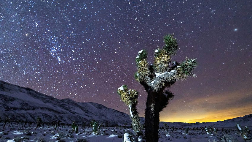 Este fotógrafo crea conciencia sobre la contaminación lumínica en el Valle de la Muerte HD wallpaper
