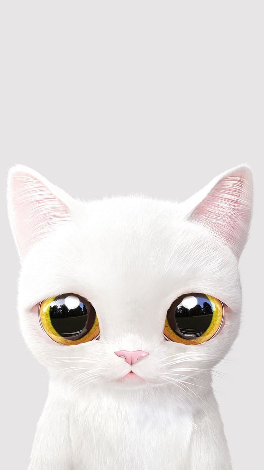 White kitten / Petit chaton blanc fond d'écran pour téléphone • • monchatdore • • iPhone X HD phone wallpaper