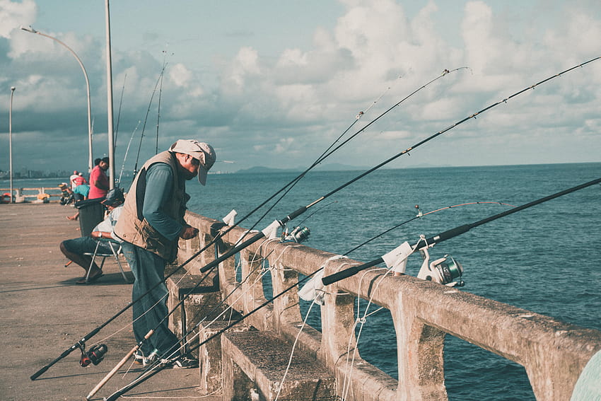 Varas de pesca na cerca · Estoque, doca de pesca papel de parede HD