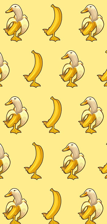 Free download Giant Rubber Duck Meme The wat duck in the 680x482 for your  Desktop Mobile  Tablet  Explore 50 Giant Rubber Duck Wallpaper  Rubber  Ducky Wallpaper Duck Backgrounds Giant MTB Wallpaper