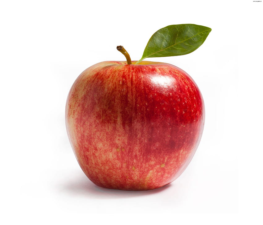 Mela rossa Sfondi, frutta mela rossa Sfondo HD
