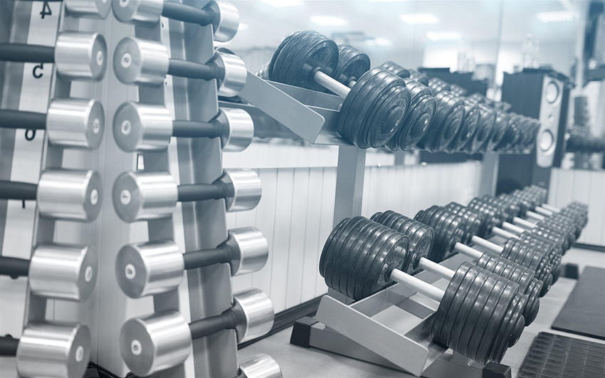 dumbbells, gym, workout, dumbbell rack for HD wallpaper