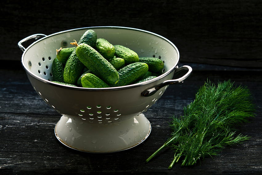 colander with fresh cucumbers on a table next to dill and, dill pickle HD wallpaper