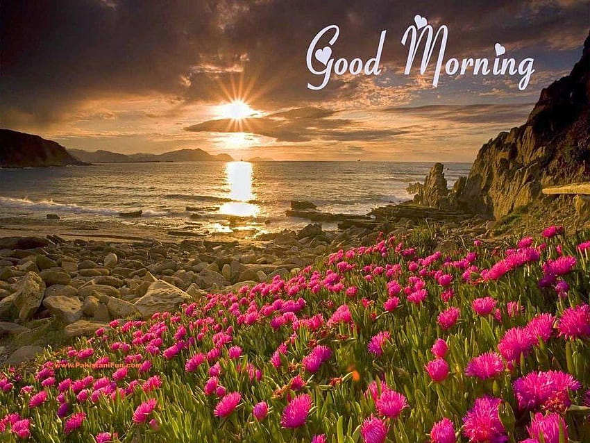 Widescreen Awesome Nature Good Morning Full Pics Backgrounds, selamat pagi Wallpaper HD