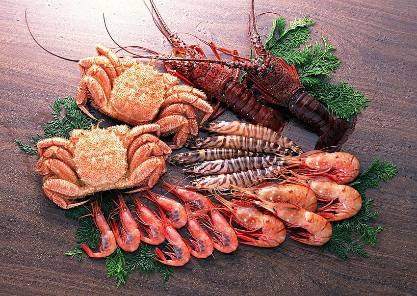 Seafood , Live Seafood HD wallpaper