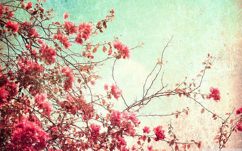 Gepresste Blumenfreuden: Blume Tumblr, Tumblr-Vintage HD-Hintergrundbild