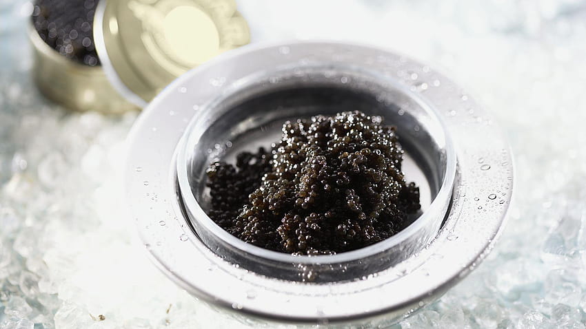1920x1080 caviar, prato, preto, banco, delicadeza papel de parede HD