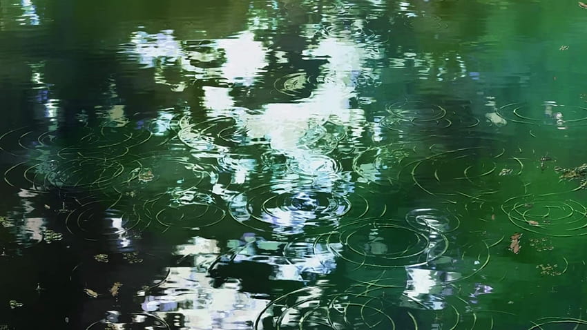 L'acqua Makoto Shinkai increspa l'anime The Garden of Words Sfondo HD
