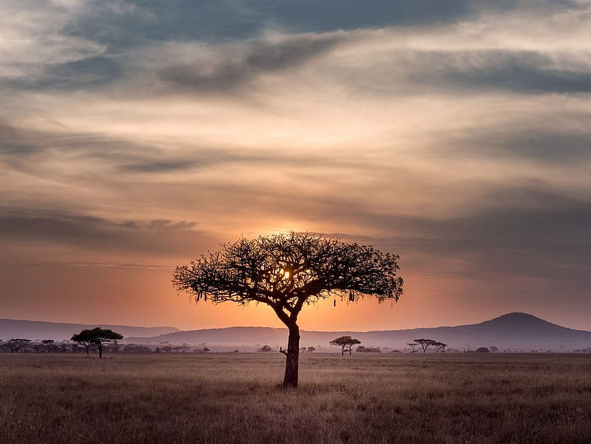 75 Stunning Africa ..., impressive sunset HD wallpaper