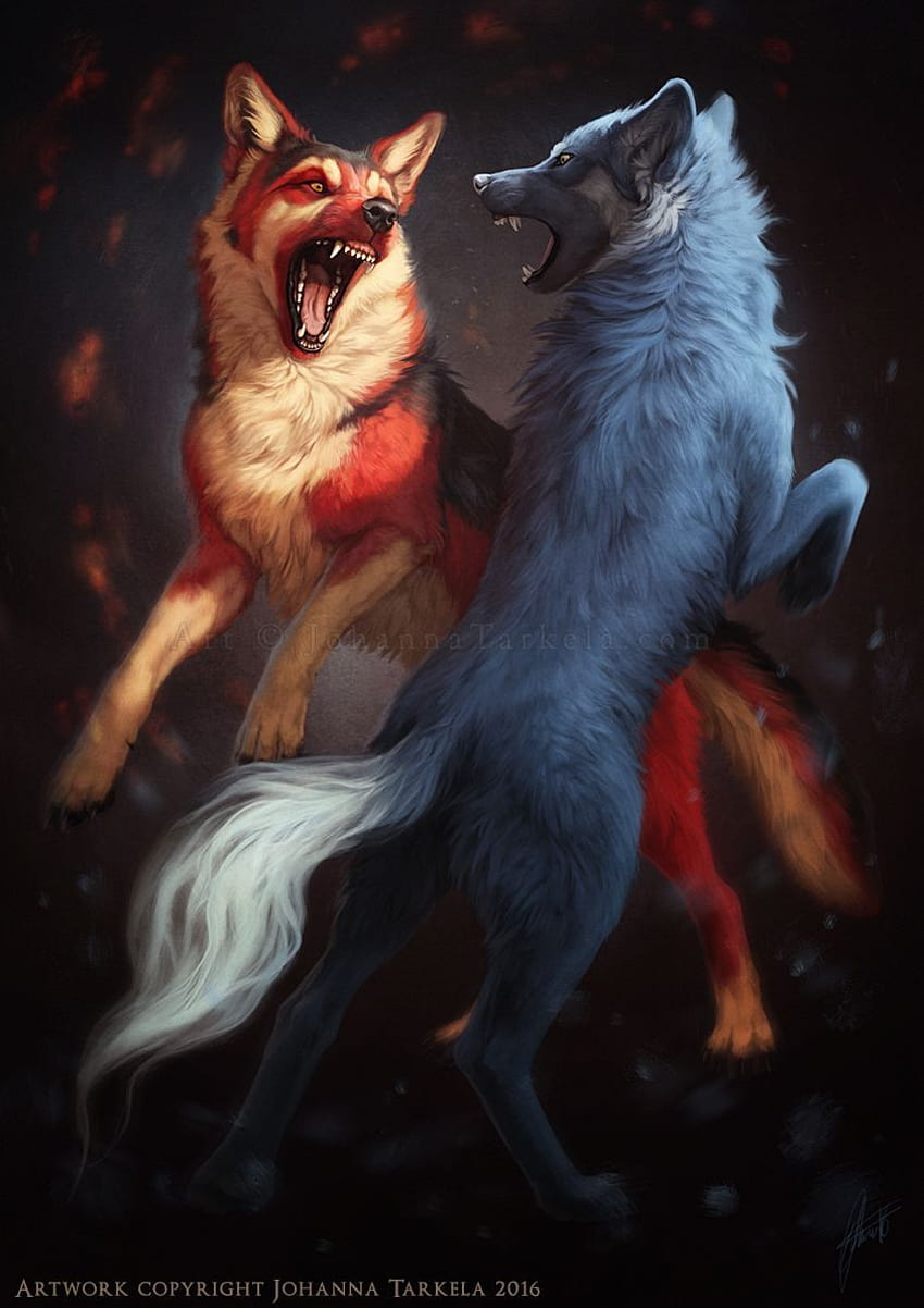 Fire and Ice Wolf on Dog, fire and ice wolves HD phone wallpaper | Pxfuel