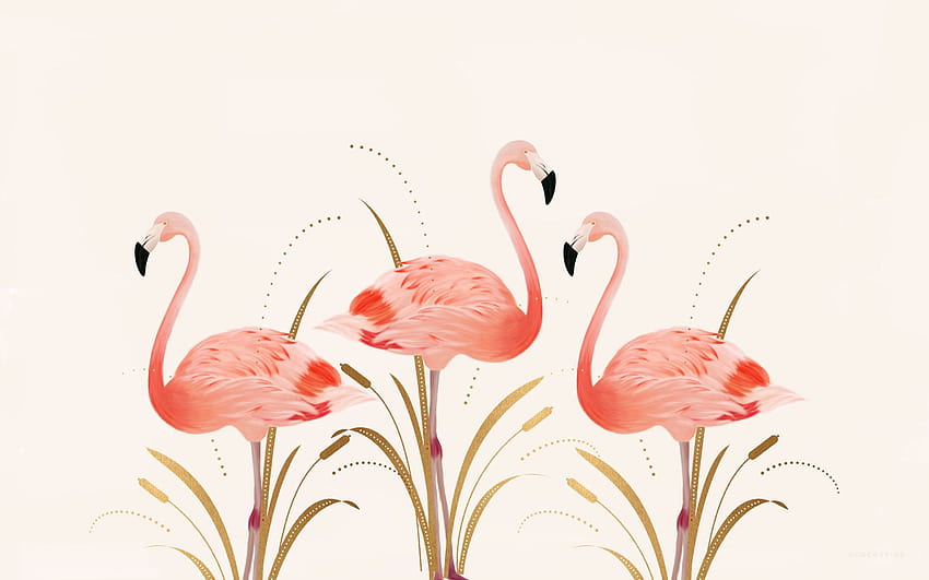 Flamingo Resolution Src Flamingo, wielkanocne flamingi Tapeta HD