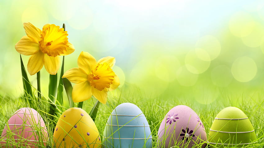 휴일 부활절 달걀 달걀, 부활절, 축하, 봄 달걀 HD 월페이퍼