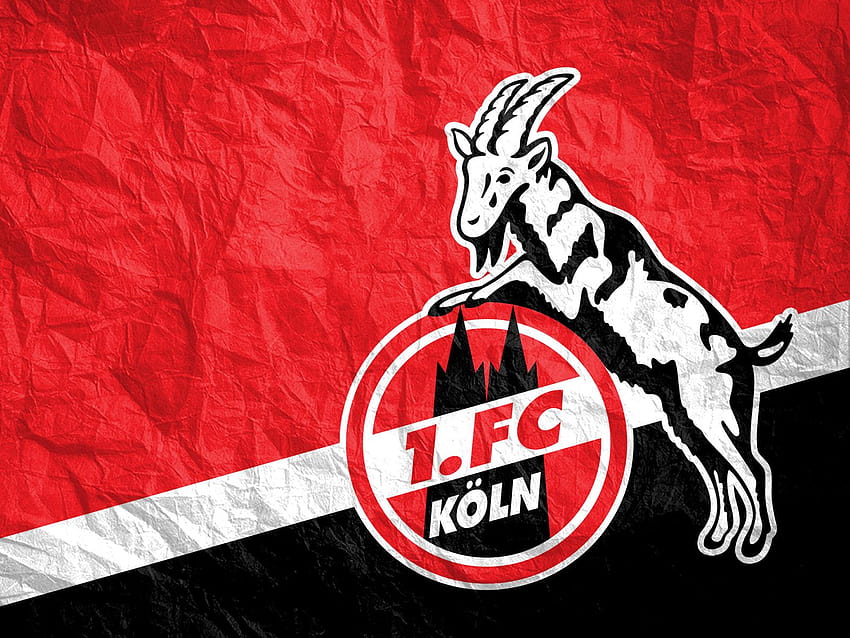 1. FC Köln, 1 fc koln HD wallpaper