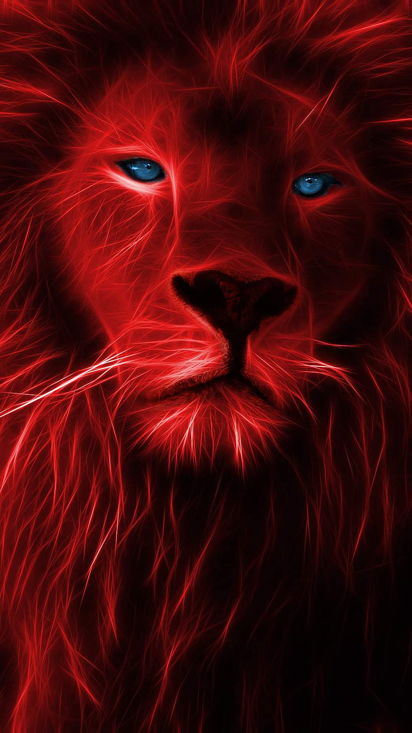 leone nero e rosso Sfondo del telefono HD