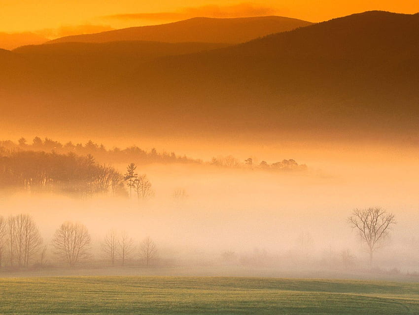Sunrise cove Great Smoky Mountains, great smoky mountains sunrise HD wallpaper