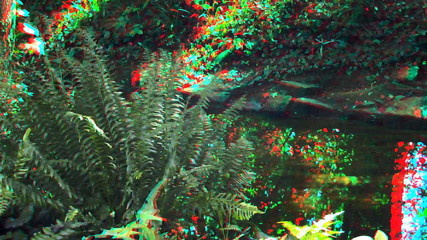 3D Video for Red/Blue glasses: Anaglyph., best anaglyph 3d HD wallpaper