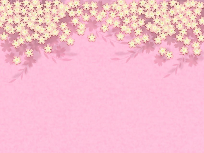 4 Pink Lace , Quality Pink Lace , Pink Lace, pink soft HD wallpaper