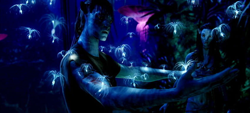 Avatar 2009 poster fantasy movie actress avatar couple actor  blue HD wallpaper  Peakpx