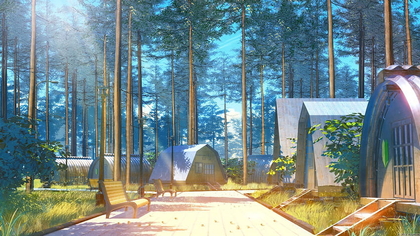 Summer camp backgrounds, summer camp aesthetic HD wallpaper | Pxfuel