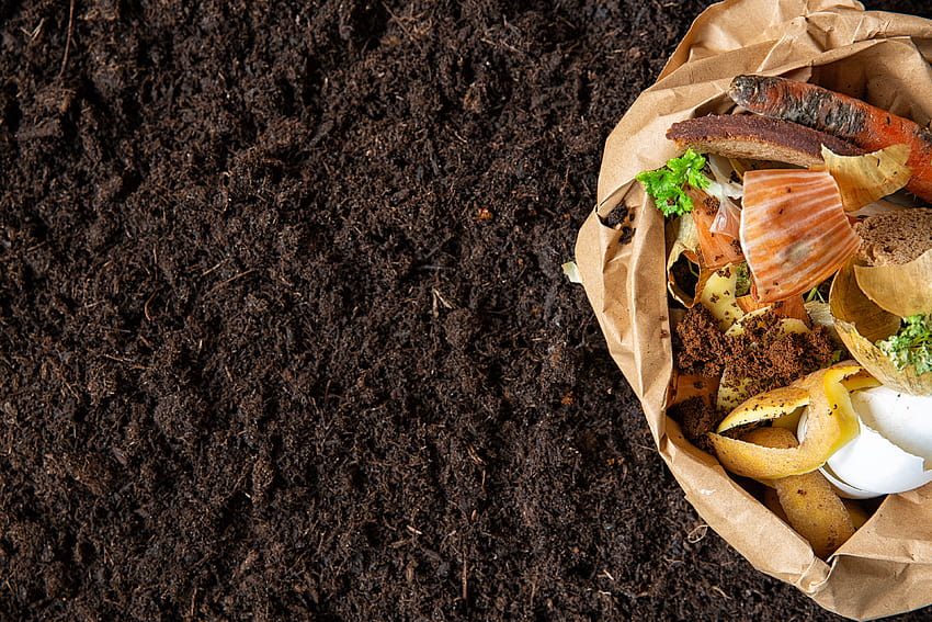 Kompostowanie w Nowej Anglii – Od odpadów spożywczych do kompostu – CT NOFA Tapeta HD