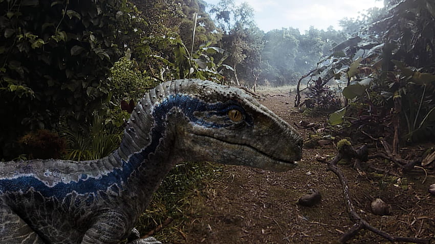 Jurassic World: Velociraptor blu, blu Sfondo HD