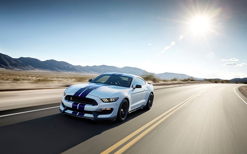 Ford Shelby GT350, gt350r HD wallpaper