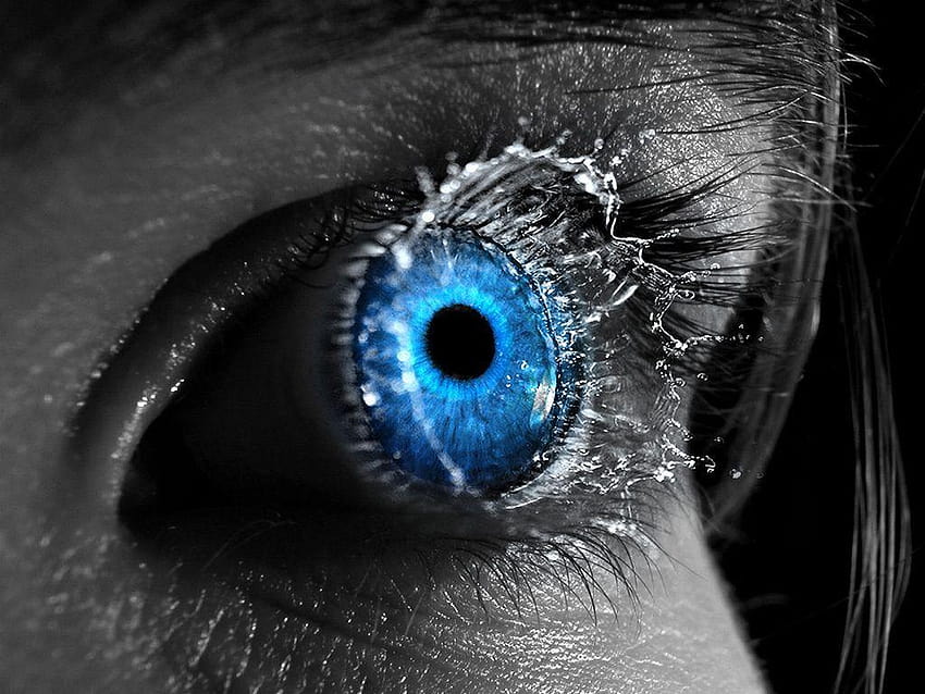Eye, pupils HD wallpaper