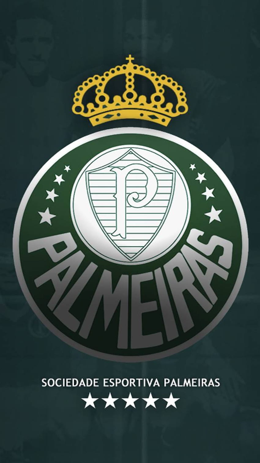 Palmeiras by brendolan, sociedade esportiva palmeiras HD phone wallpaper