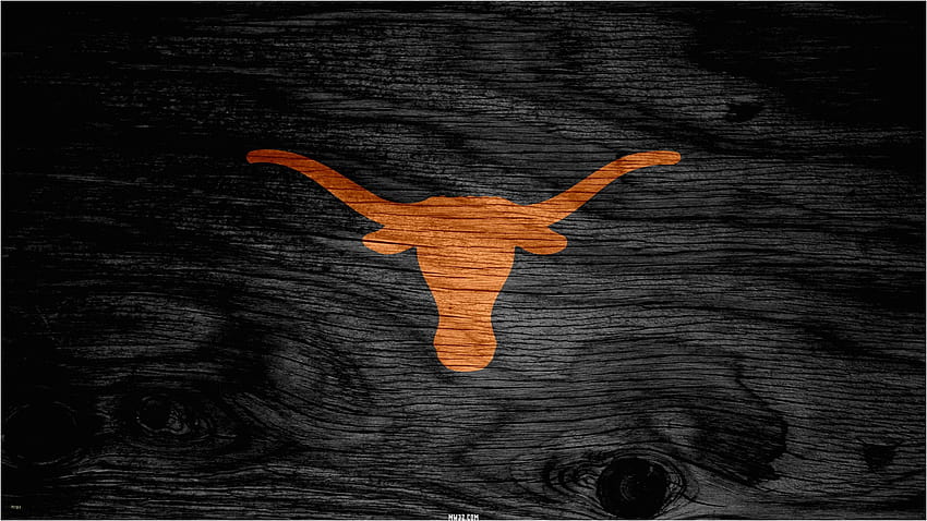 Texas Longhorns Awesome Ut Football, texas longhorn cattle HD wallpaper