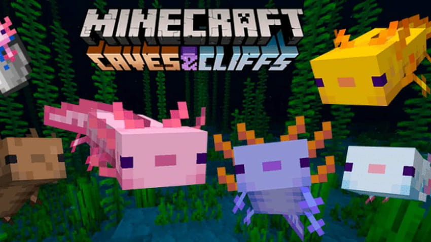 Wie man Axolotl in Minecraft Caves & Cliffs zähmt: Essen, Ort und mehr » FirstSportz, Axolotl Minecraft HD-Hintergrundbild