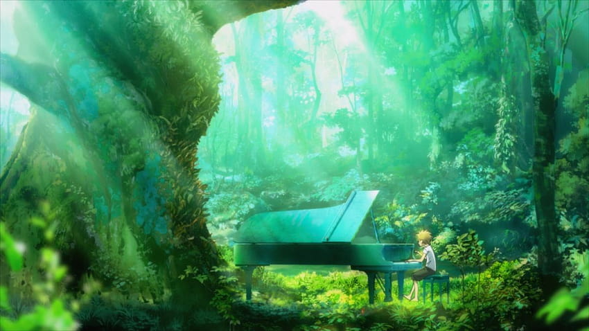 Piano no Mori: Piano Terbaik I ...pinterest, hutan piano Wallpaper HD