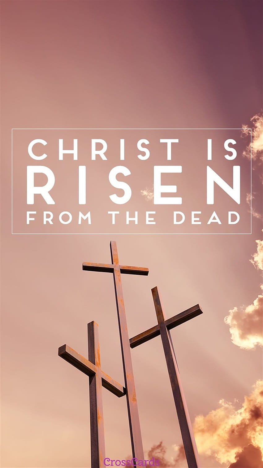 Christ is Risen, good friday iphone HD phone wallpaper | Pxfuel