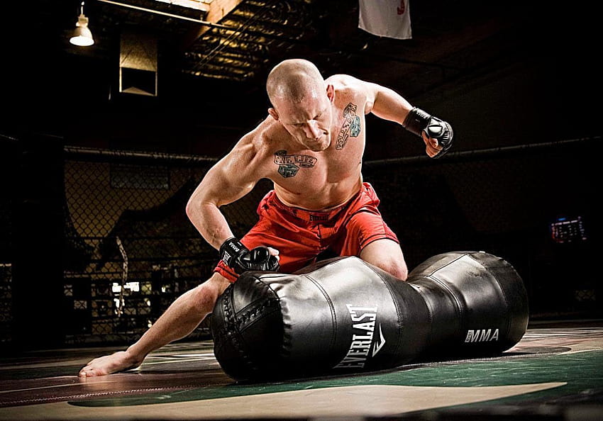 How to become a pro mma fighter mma fighting HD wallpaper | Pxfuel