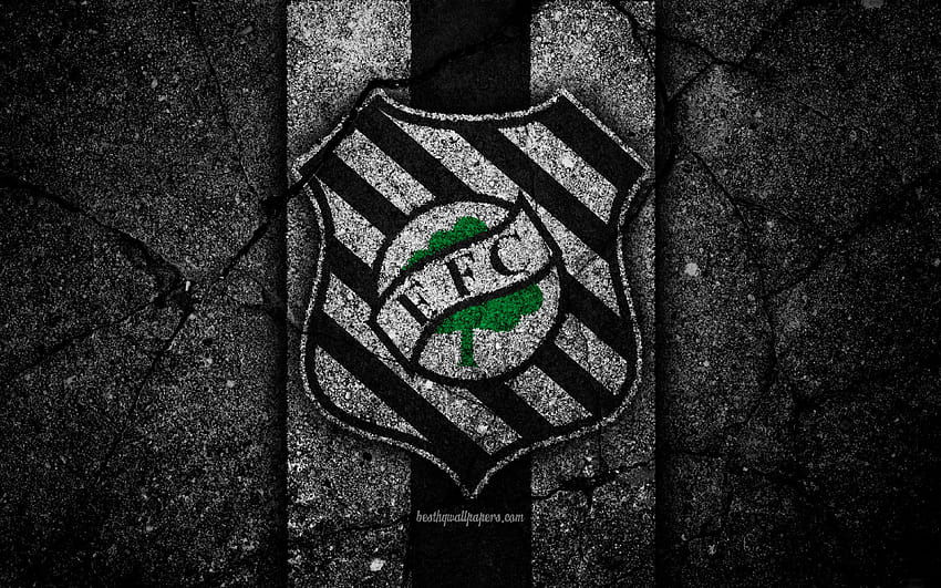 Figueirense FC, logo, football, Serie B HD wallpaper