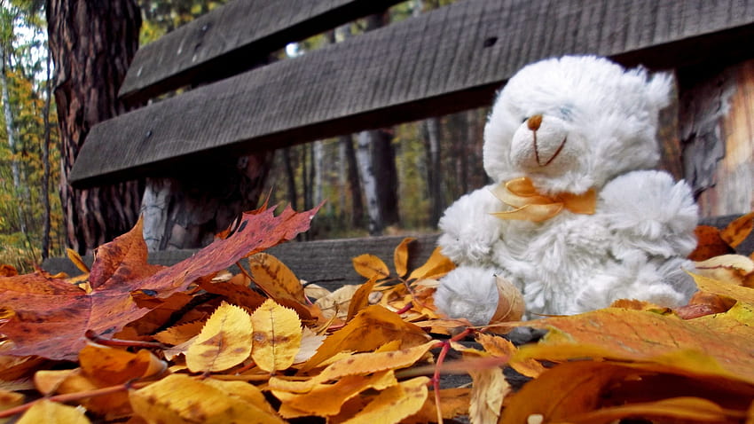 Trees autumn leaves bench teddy bears loneliness, autumn bear HD wallpaper